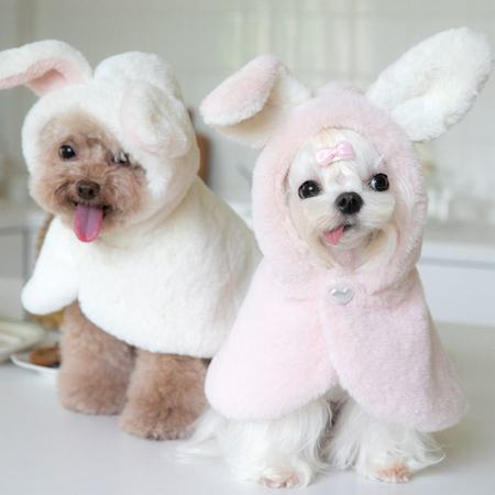 dog easter outfit bunny