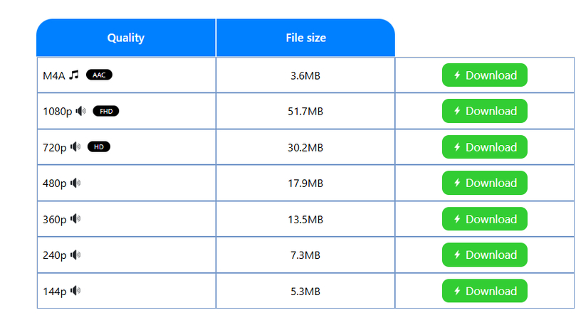 Downloading YouTube videos from a third-party site to fix lagging