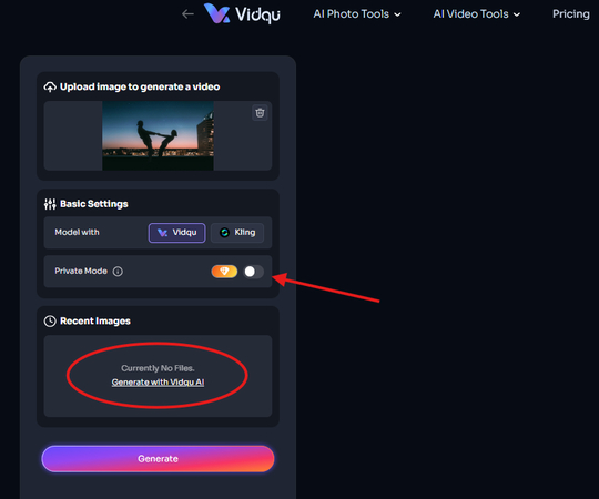 Enabling private mode in Vidqu AI