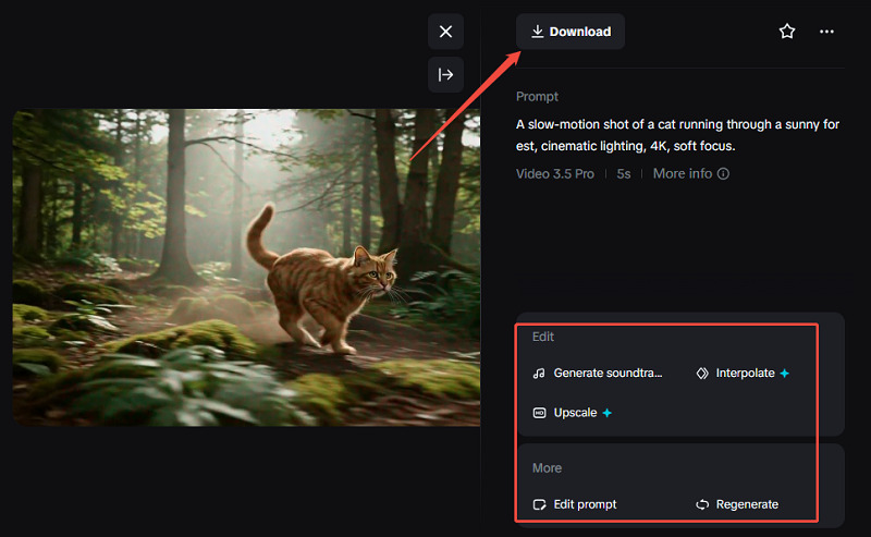 export generated video
