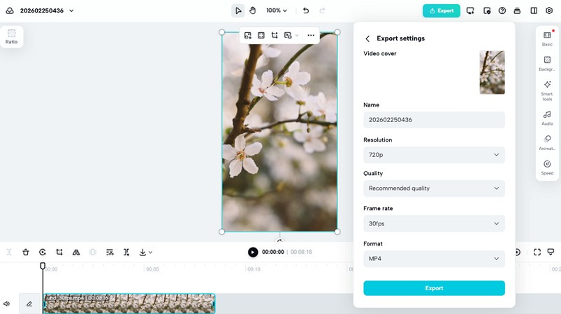Export Horizontal Video in CapCut