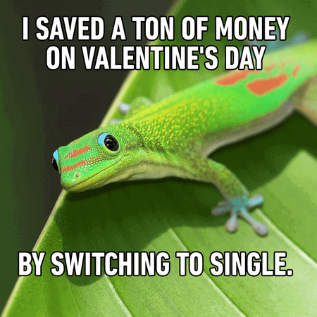 Valentine's Financial Freedom Meme