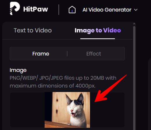 First uploaded image to create video