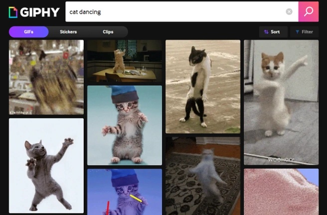giphy dancing cat gif generator