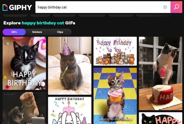 giphy happy birthday cat gif