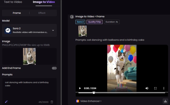 happy birthday cat gif