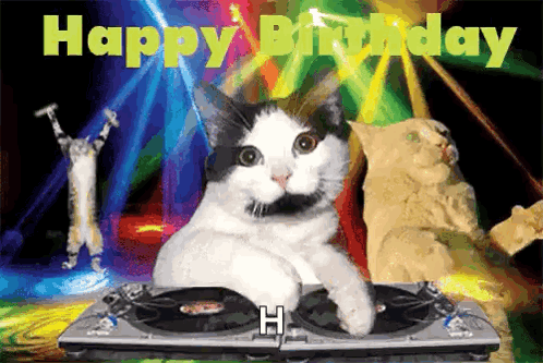 dj cat drops the beat for your birthday