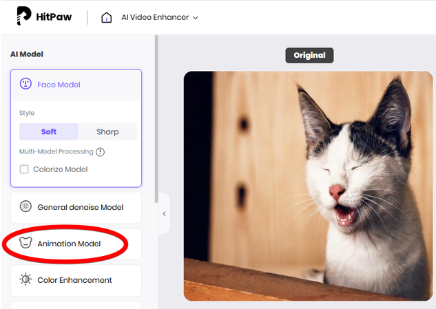 HitPaw Online AI Video Enhancer Animation Model