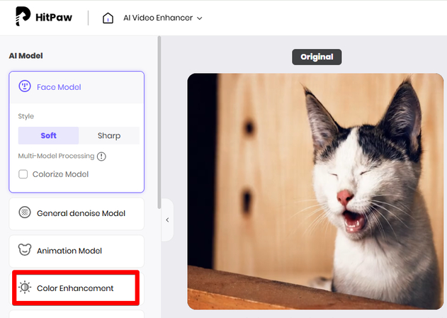 HitPaw Online AI Video Enhancer Color Enhancement Model