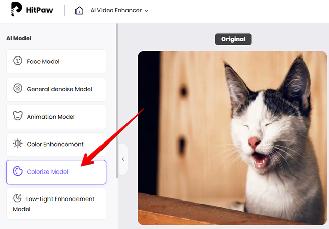 HitPaw Online AI Video Enhancer Colorize Model