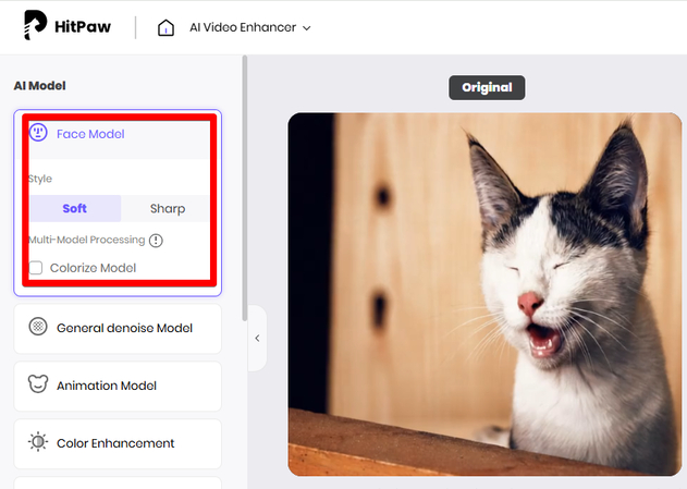 HitPaw Online AI Video Enhancer Face Model