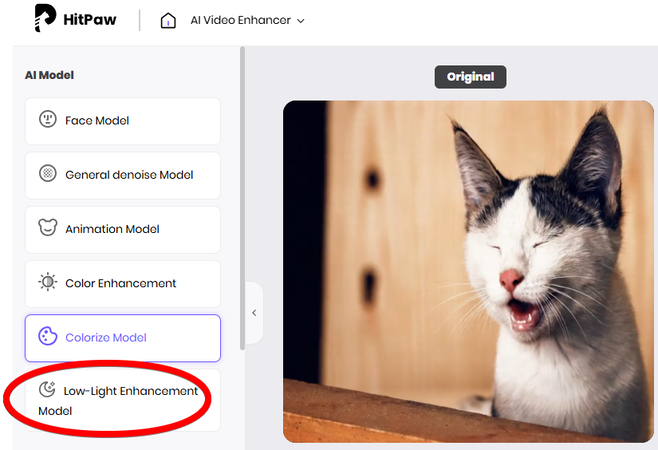 HitPaw Online AI Video Enhancer Low-Light Enhancement Model