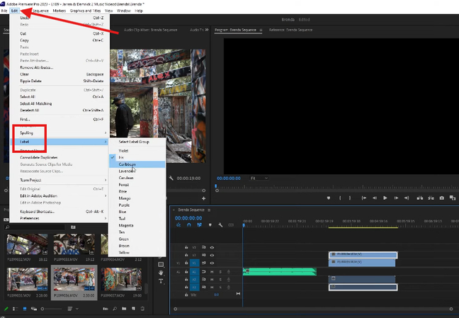 Labeling audio and video clips in the Premiere Pro timeline