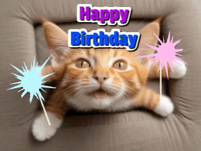orange kitten with birthday sparklers