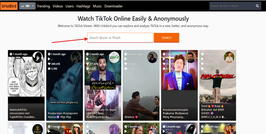 Pesquisando usuário do TikTok no Urlebird