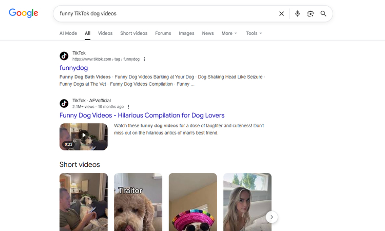 Searching TikTok videos on Google to watch without the TikTok app