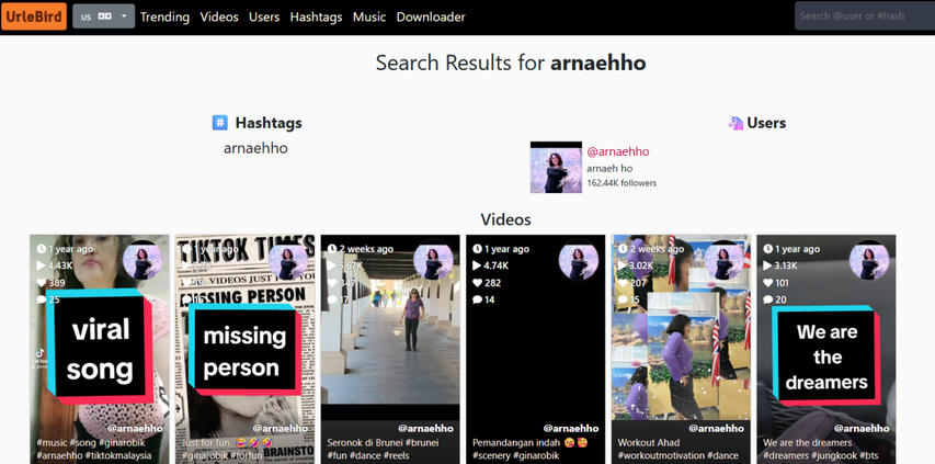 Visualizando vídeos do perfil do TikTok no Urlebird