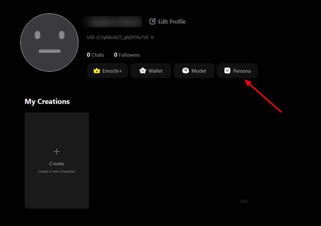 Setting up Persona in Emochi