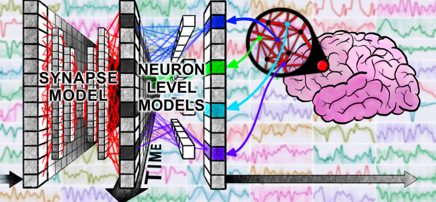 Shisa AI Continuous Thought Machine