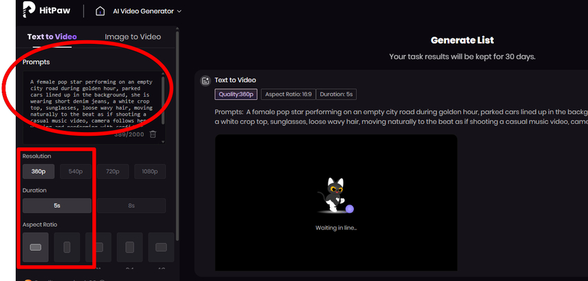 Text Prompt and settings for creating a music video