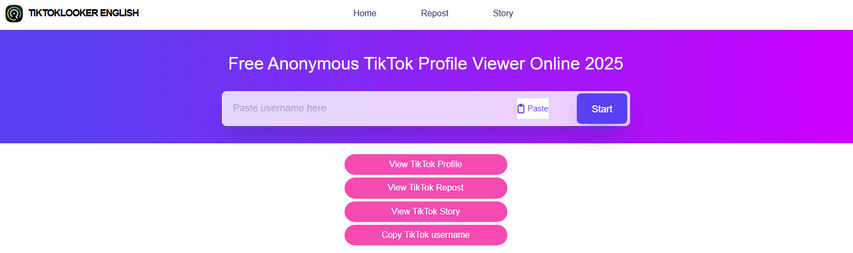 Alternativa ao Urlebird TikTokLooker