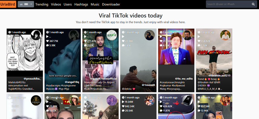 Urlebird mostrando vídeos em tendência no TikTok