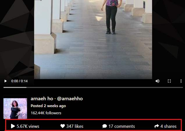 Visualizando detalhes do vídeo do perfil do TikTok anonimamente no Urlebird