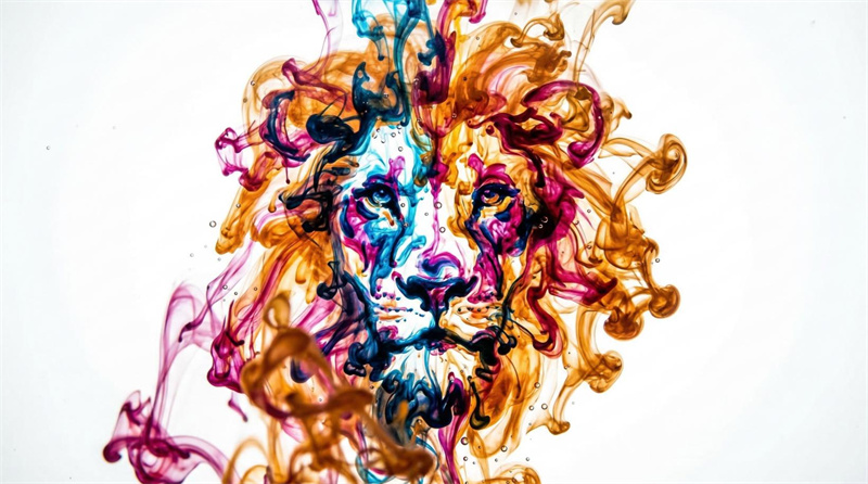 Slow Motion Timelapse Video Generator