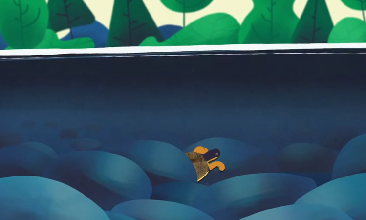 Wood Turtle promotional video example