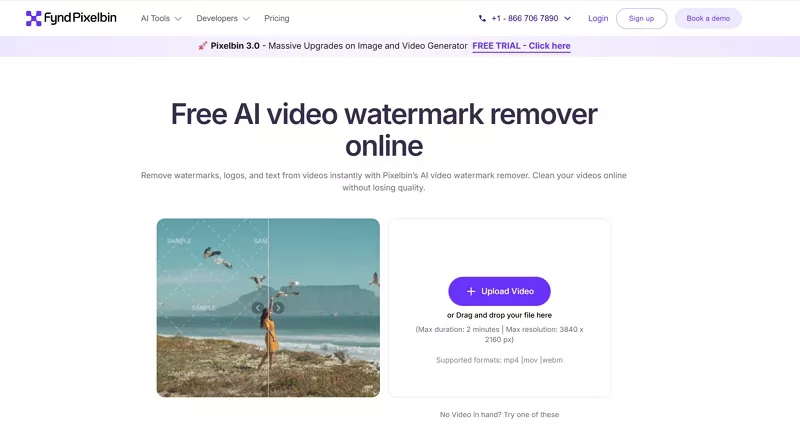 pixelbin video watermark remover