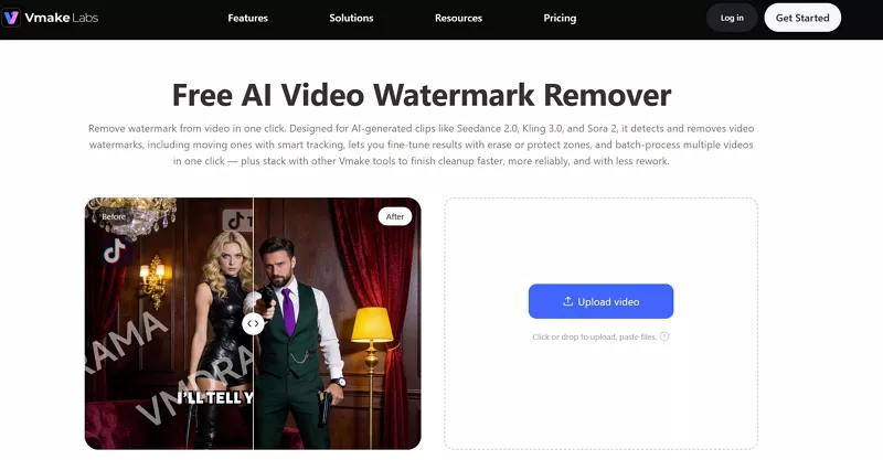 vmake video watermark remover