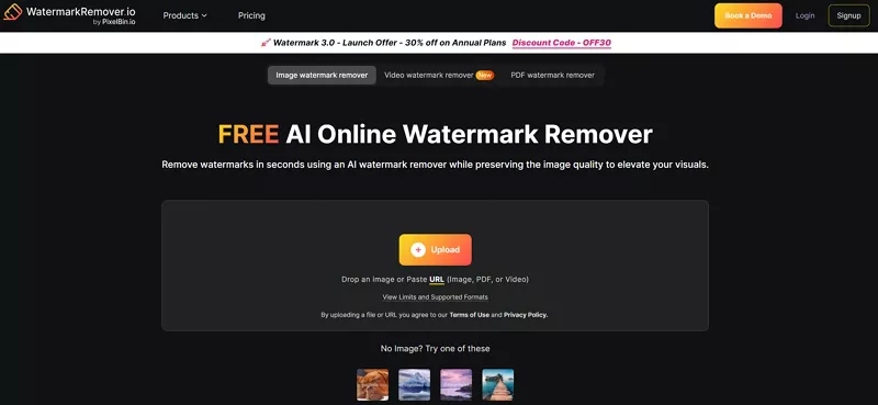 watermarkremover io video watermark remover.